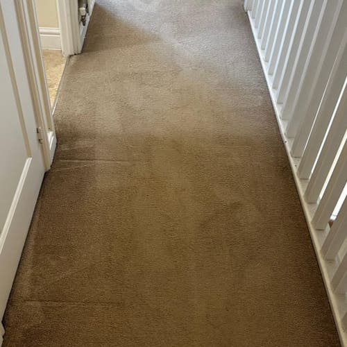 After Carpet Cleaning Maidstone