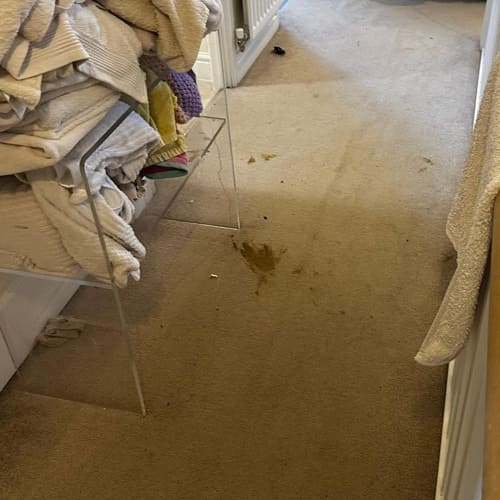 Before Carpet Cleaning Maidstone