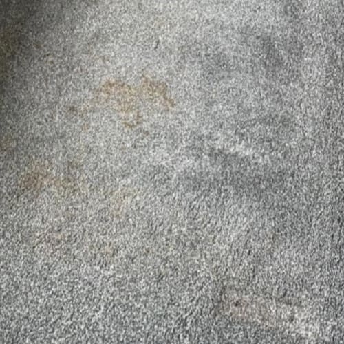 Before Carpet Cleaning Maidstone