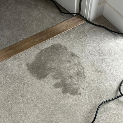 Before Carpet Cleaning Maidstone