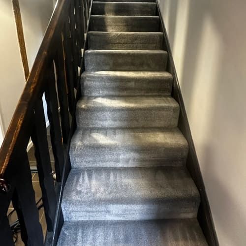 After Carpet Cleaning Maidstone