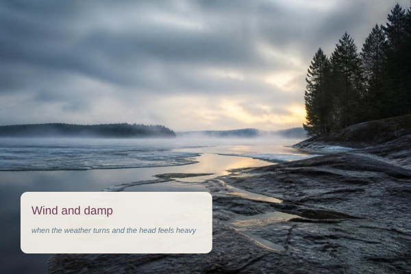 A misty Muskoka shoreline under heavy grey cloud, the kind of weather that brings on wind and damp headaches