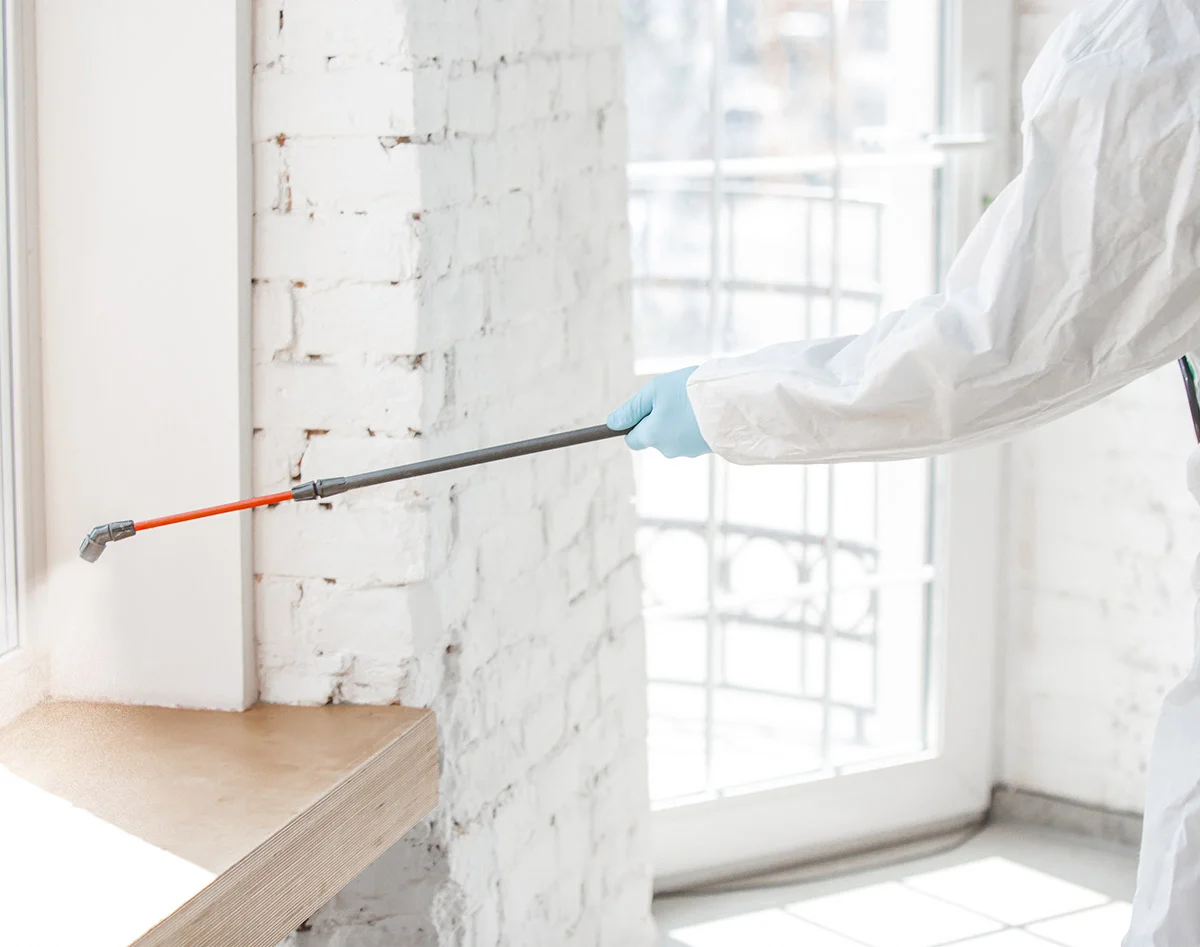 A person in a white protective suit and blue gloves sprays a window sill with a pest control device.