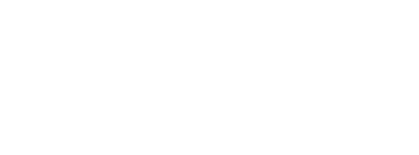 The Complete Life Blueprint by Anna Lee