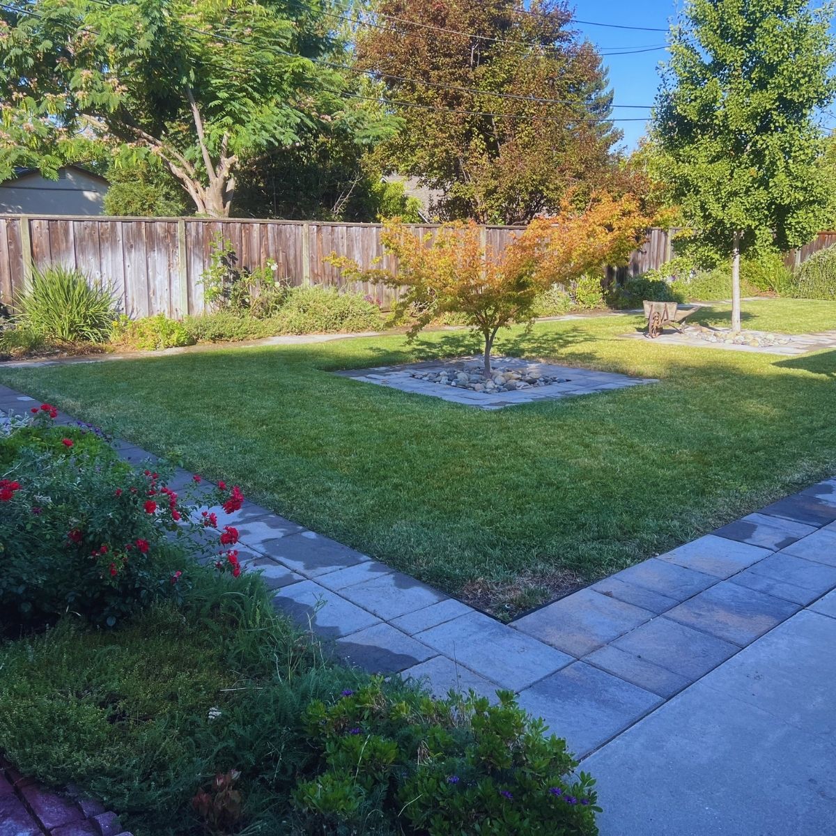 Before Image