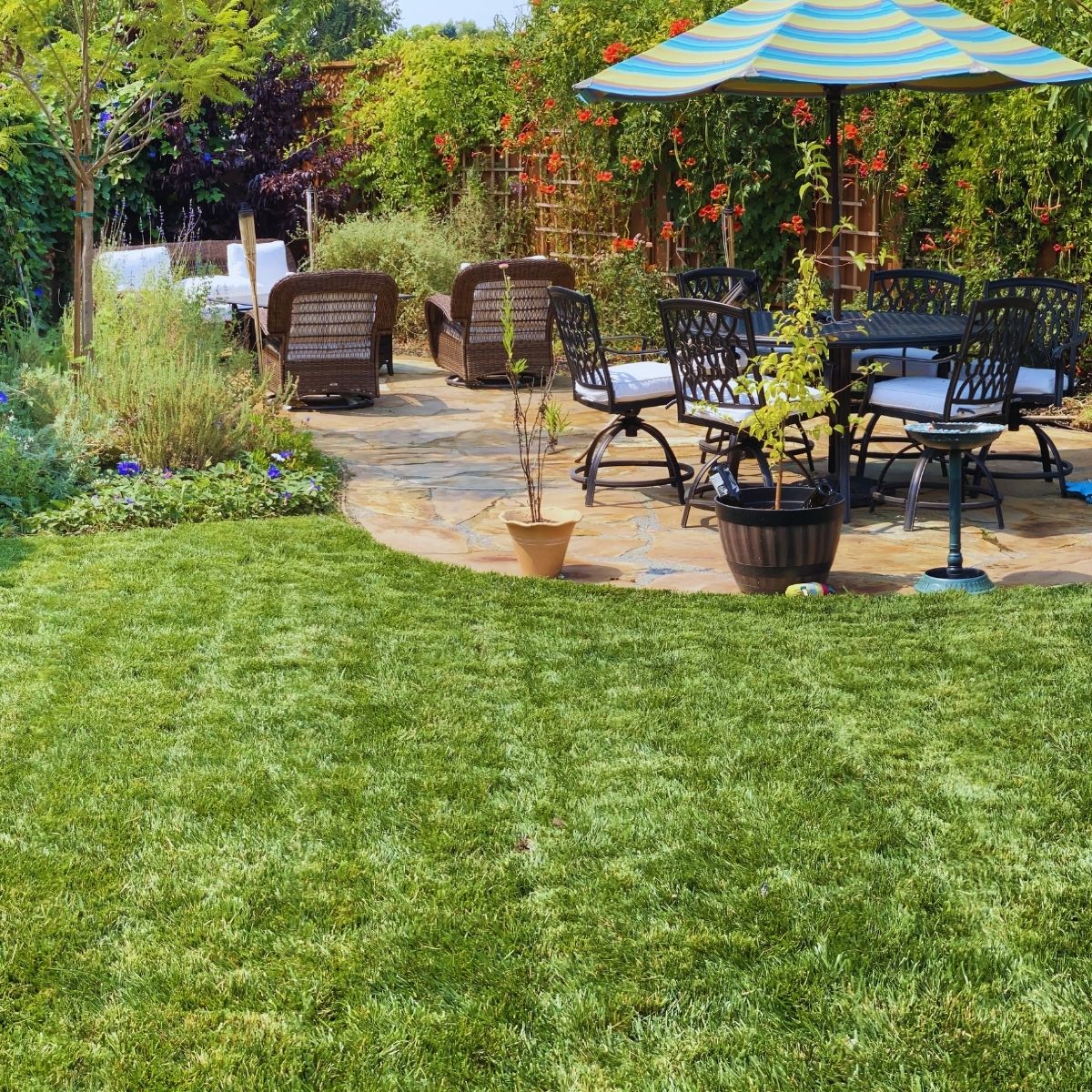 Artificial Turf