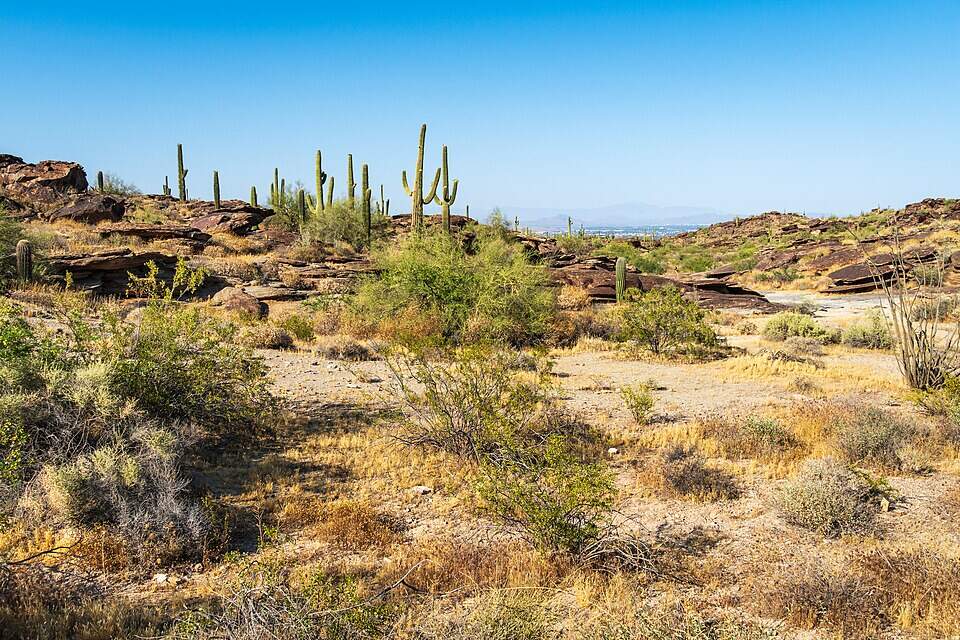 South Mountain Park