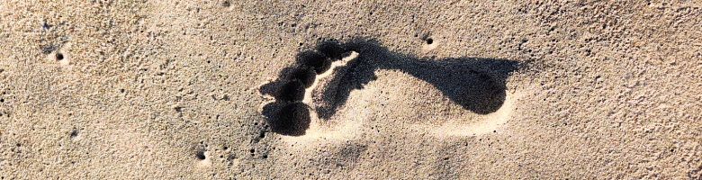 Establish Absolute Footprint Consistency