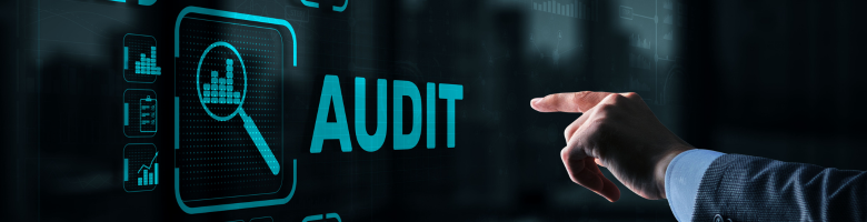 The Agenda: No Pitching, Just Auditing The Agenda: No Pitching, Just Auditing