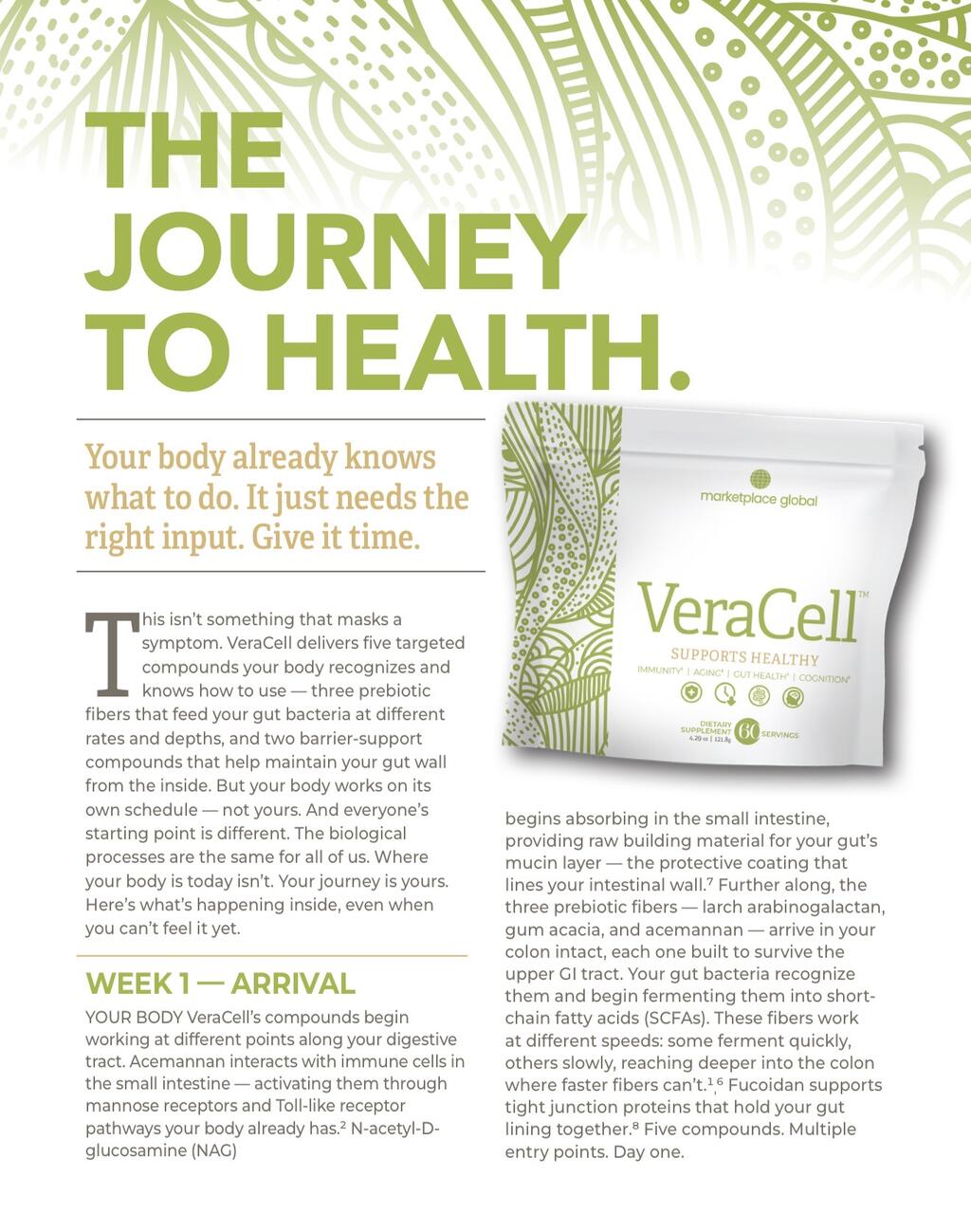 The Journey to Health - VeraCell Page 1