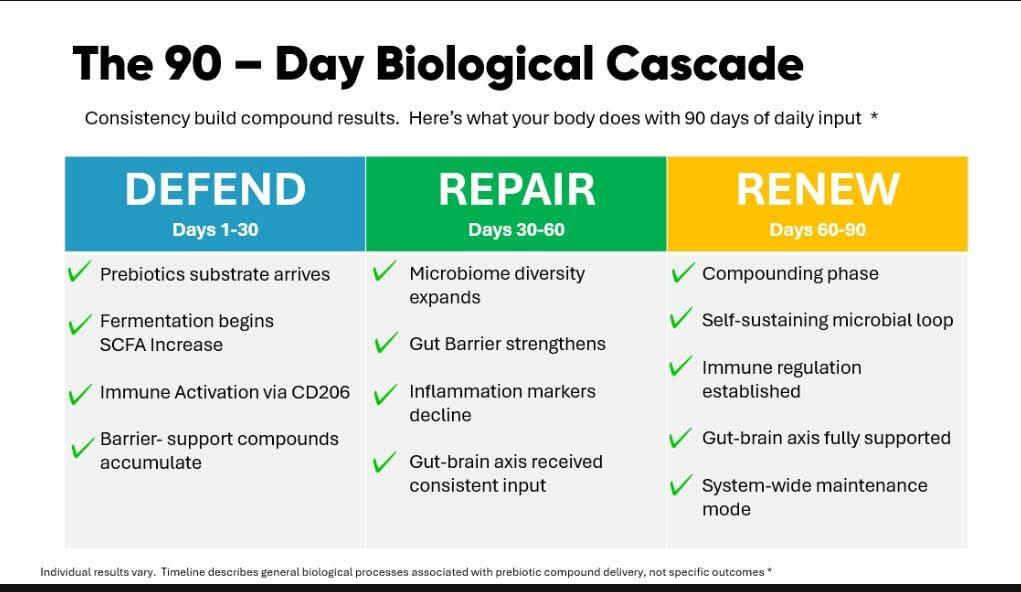 The 90-Day Biological Cascade Process Chart