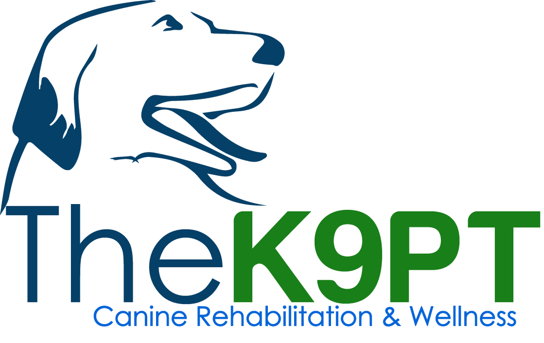 The K9PT - Chicago Dog Rehab