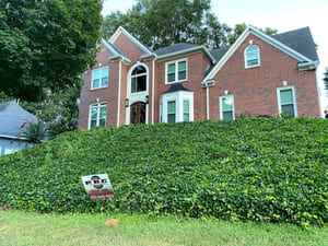 Window replacemant in Marietta