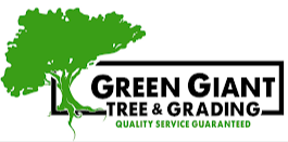 Tree Removal & Stump Services in Covington 30014, GA