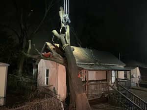 Tree erasing in Covington 30014, GA