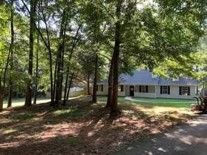 Tree removal in Covington 30014, GA