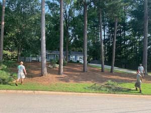 Tree Safety inspections business/residential in Social Circle 30025, GA