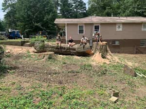 Tree Safety inspections business/residential in Covington 30014, GA