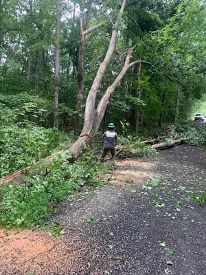 {{ custom_values.service_1 }} in {{custom_values.area_1})