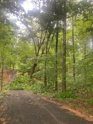 {{ custom_values.service_1 }} in {{custom_values.area_3})