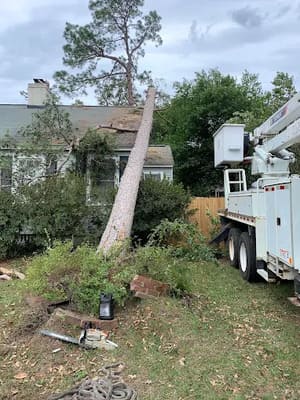 {{ custom_values.service_4 }} in {{custom_values.area_5})