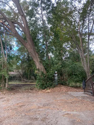 {{ custom_values.service_3 }} in {{custom_values.area_3})