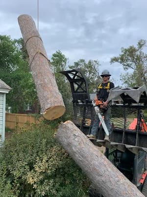 {{ custom_values.service_3 }} in {{custom_values.area_1})