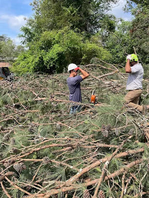 {{ custom_values.service_4 }} in {{custom_values.area_3})