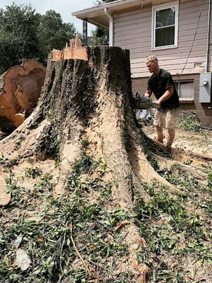 {{ custom_values.service_4 }} in {{custom_values.area_6})