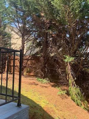 {{ custom_values.service_1 }} in {{custom_values.area_5})