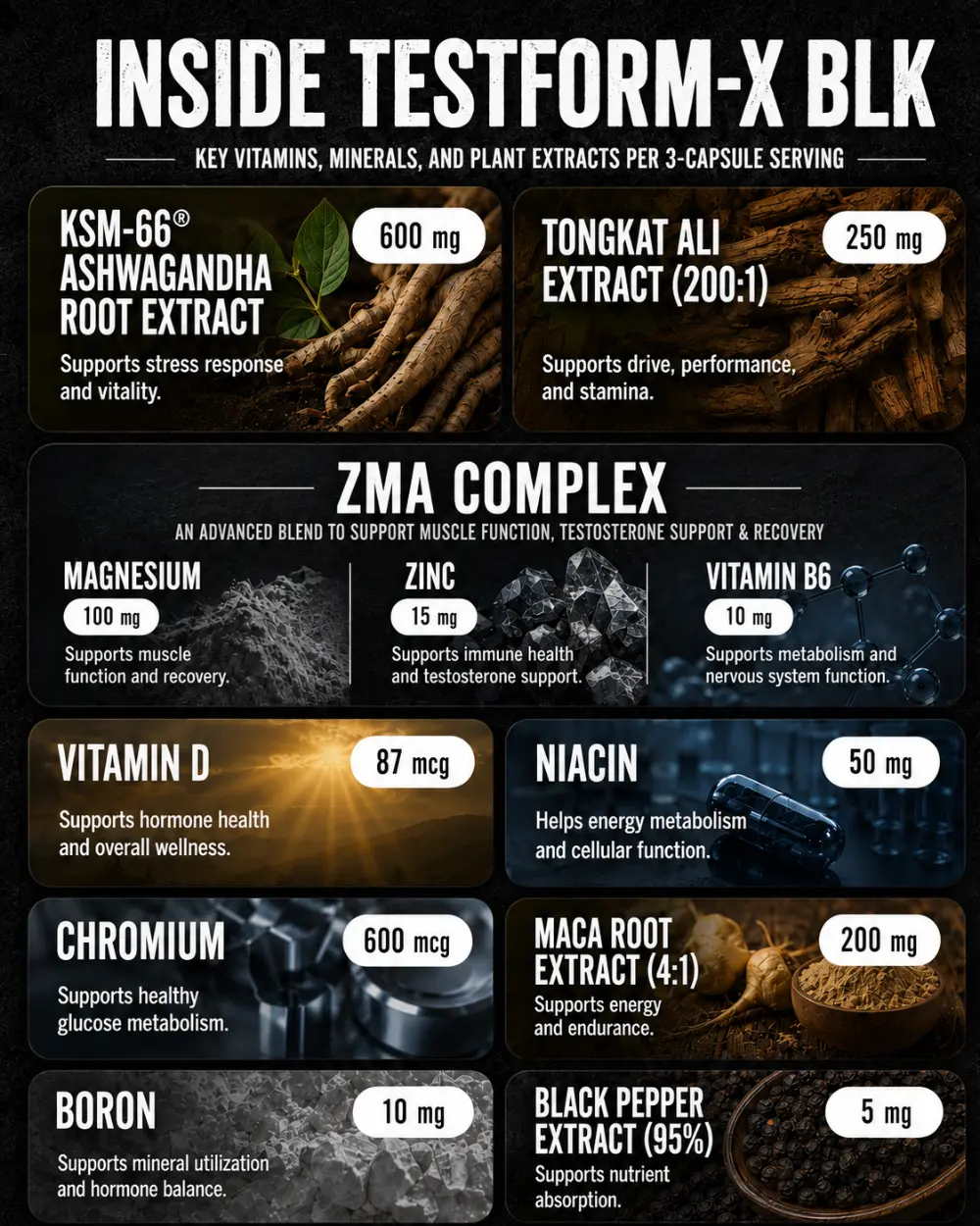 testform-x ingredients