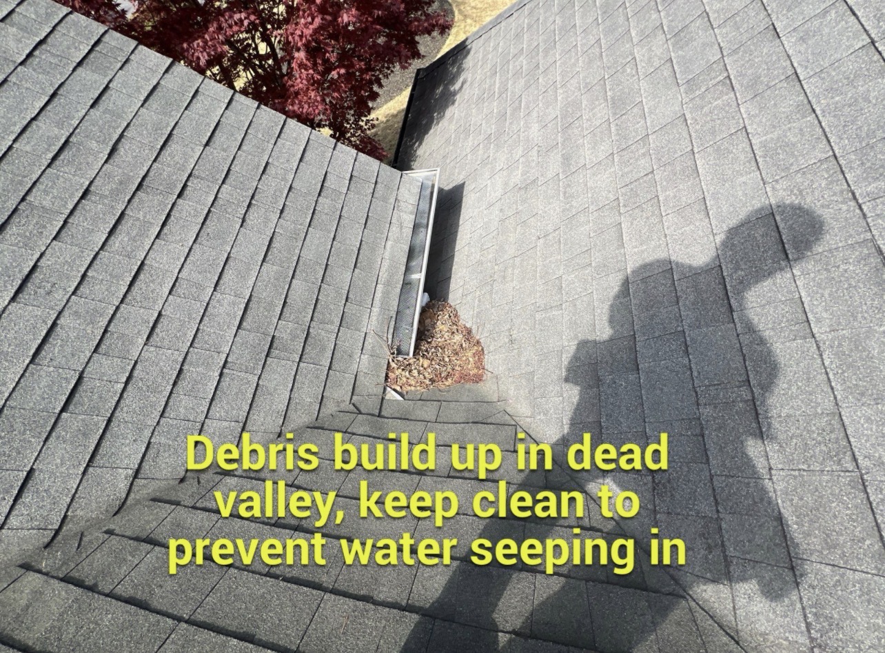 Debris buildup in valley