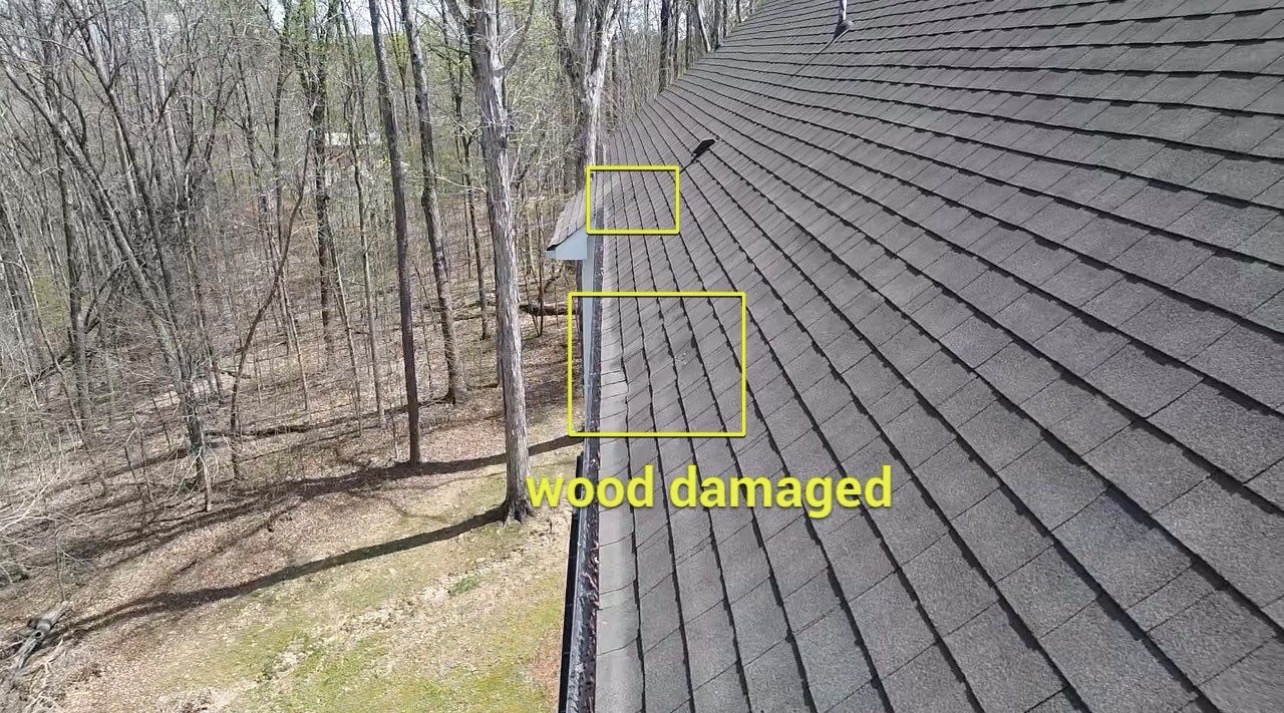 Wood damage beneath shingles