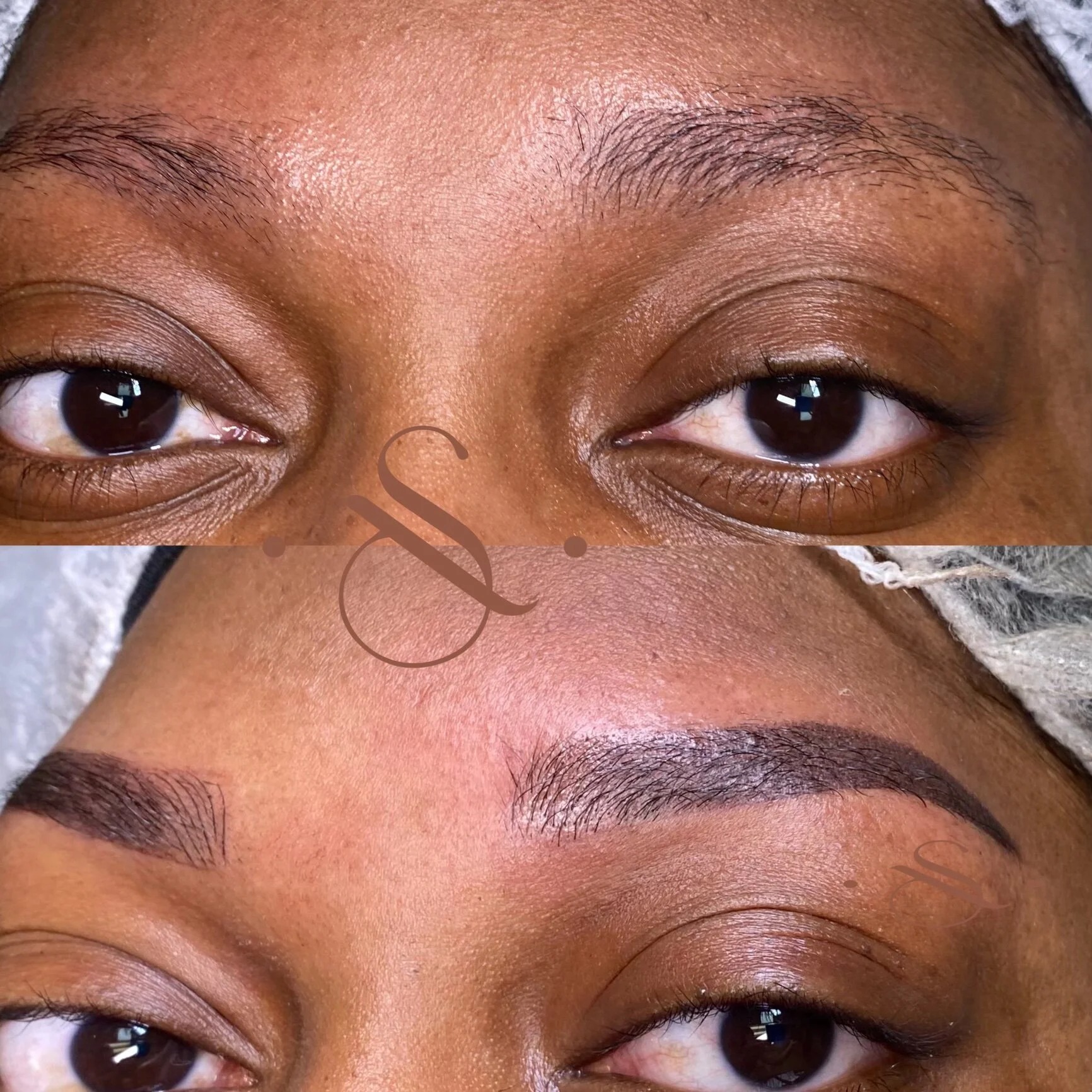 Lucia Santana Beauty brow work 7