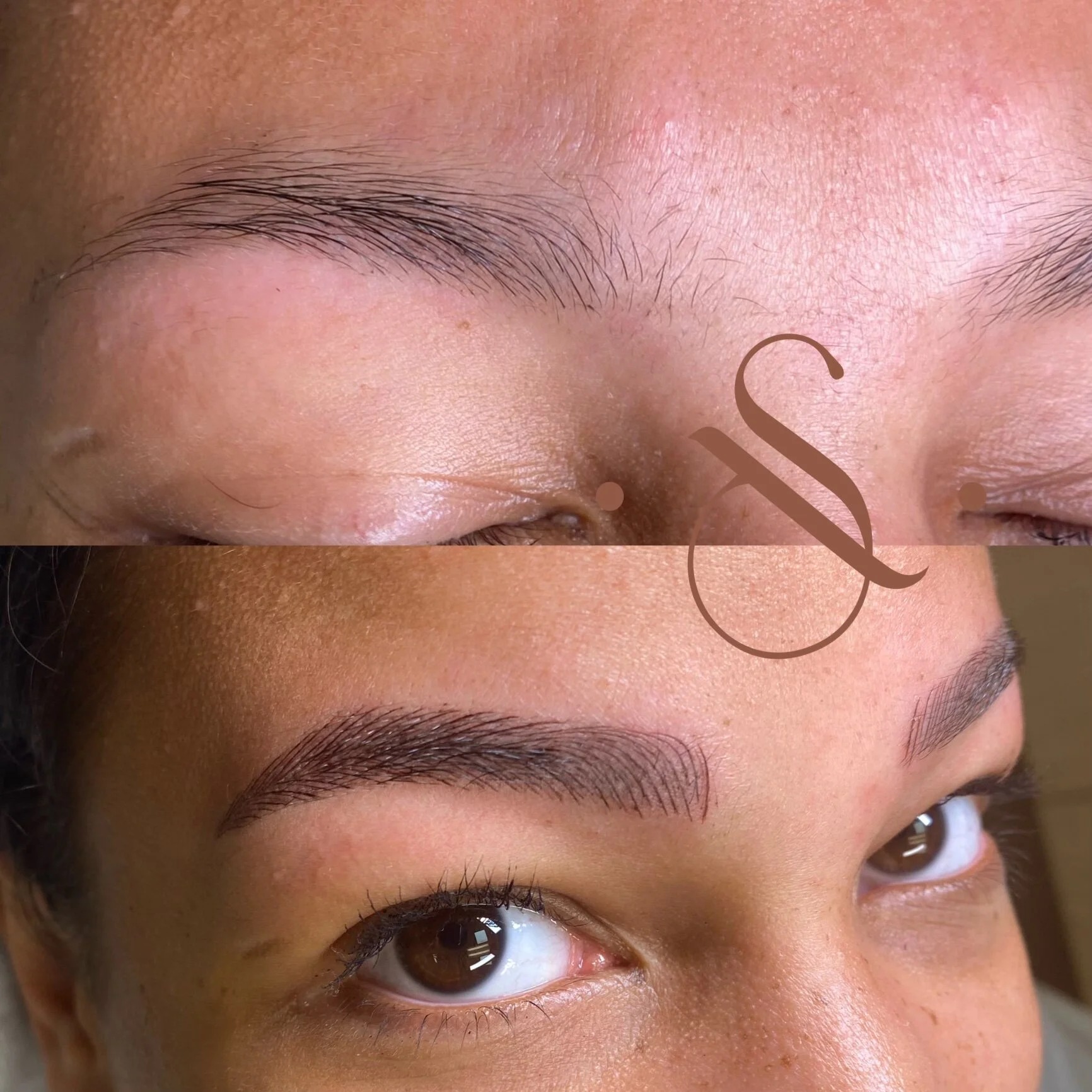 Lucia Santana Beauty brow work 3