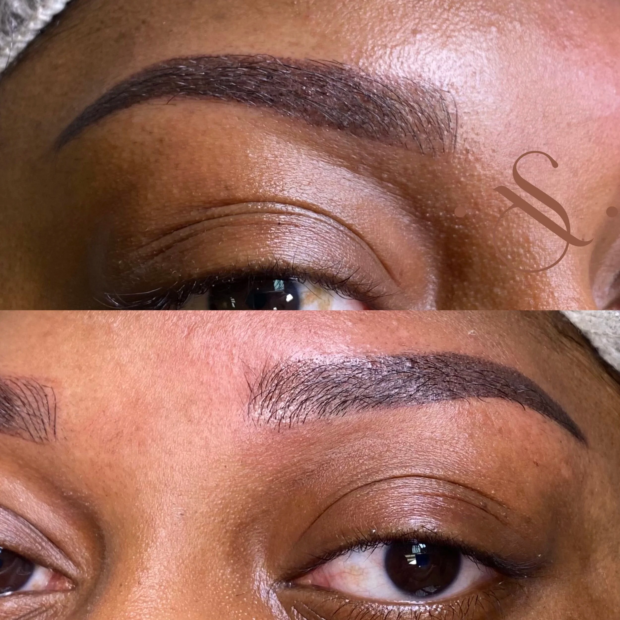 Lucia Santana Beauty brow work 8