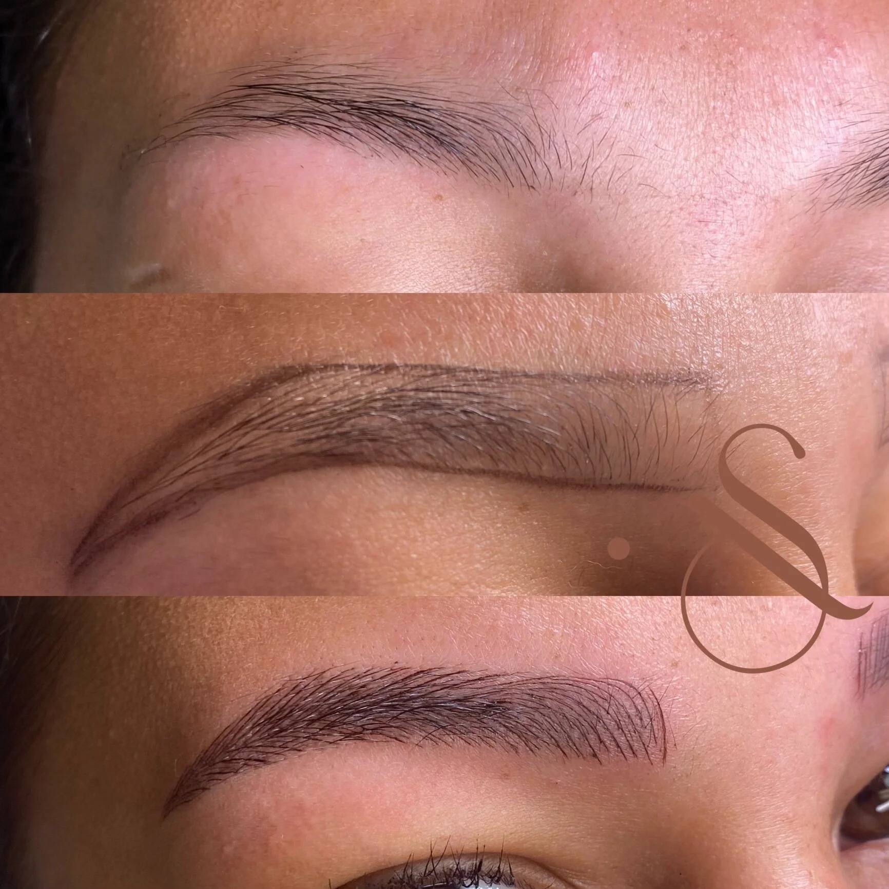 Lucia Santana Beauty brow work 4