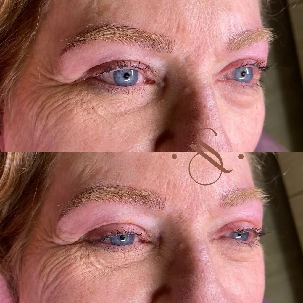 Lucia Santana Beauty brow work 5
