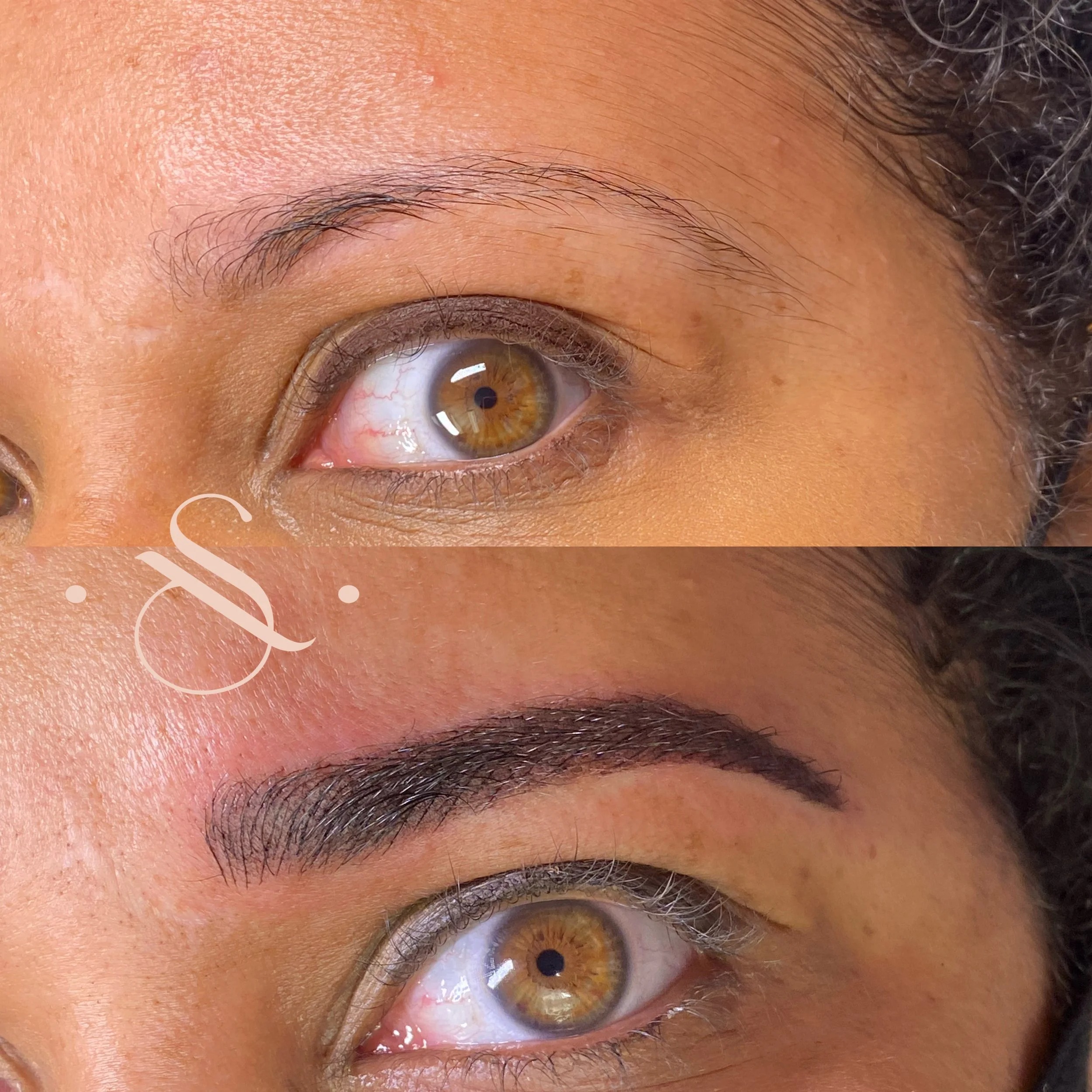 Lucia Santana Beauty brow work 16
