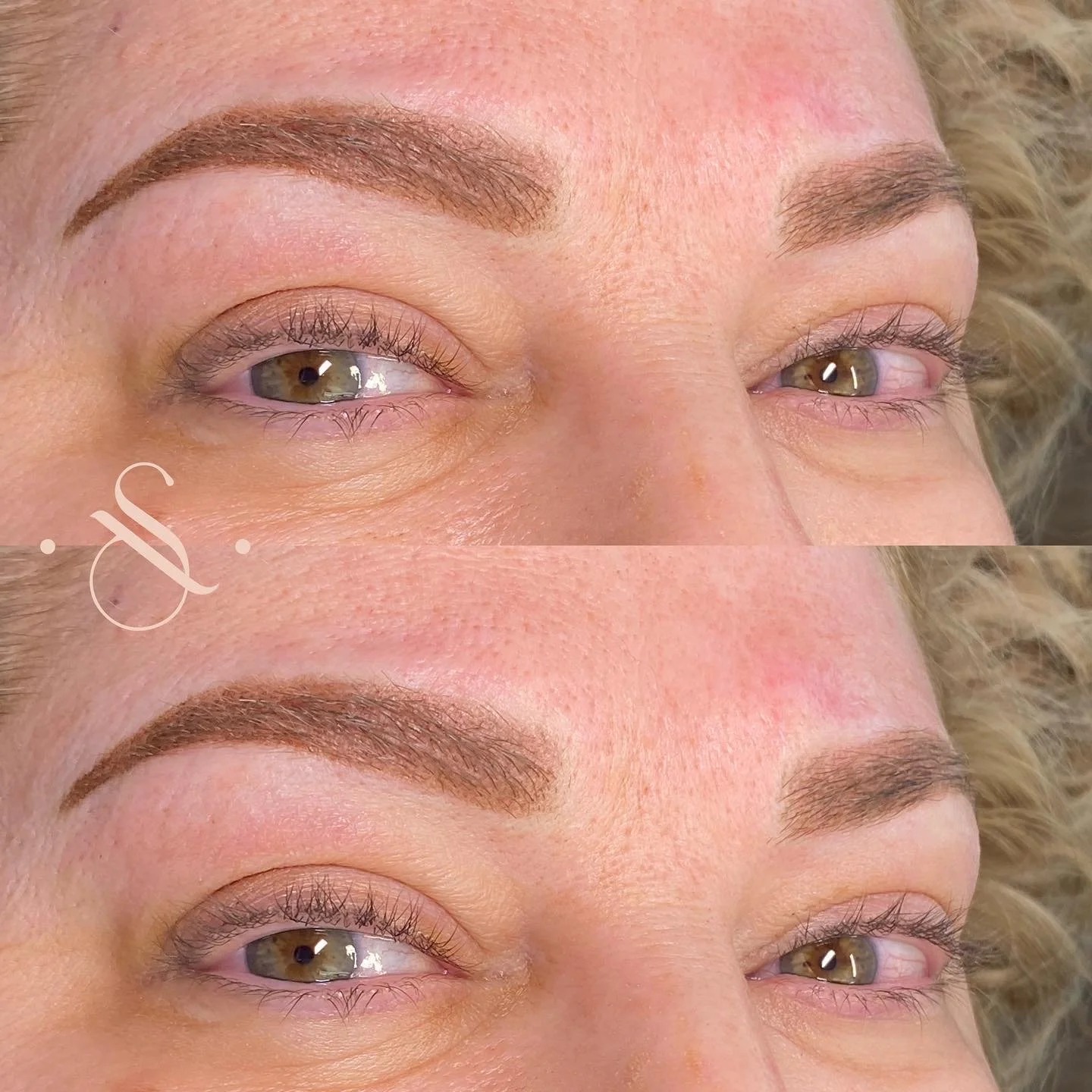 Lucia Santana Beauty brow work 11