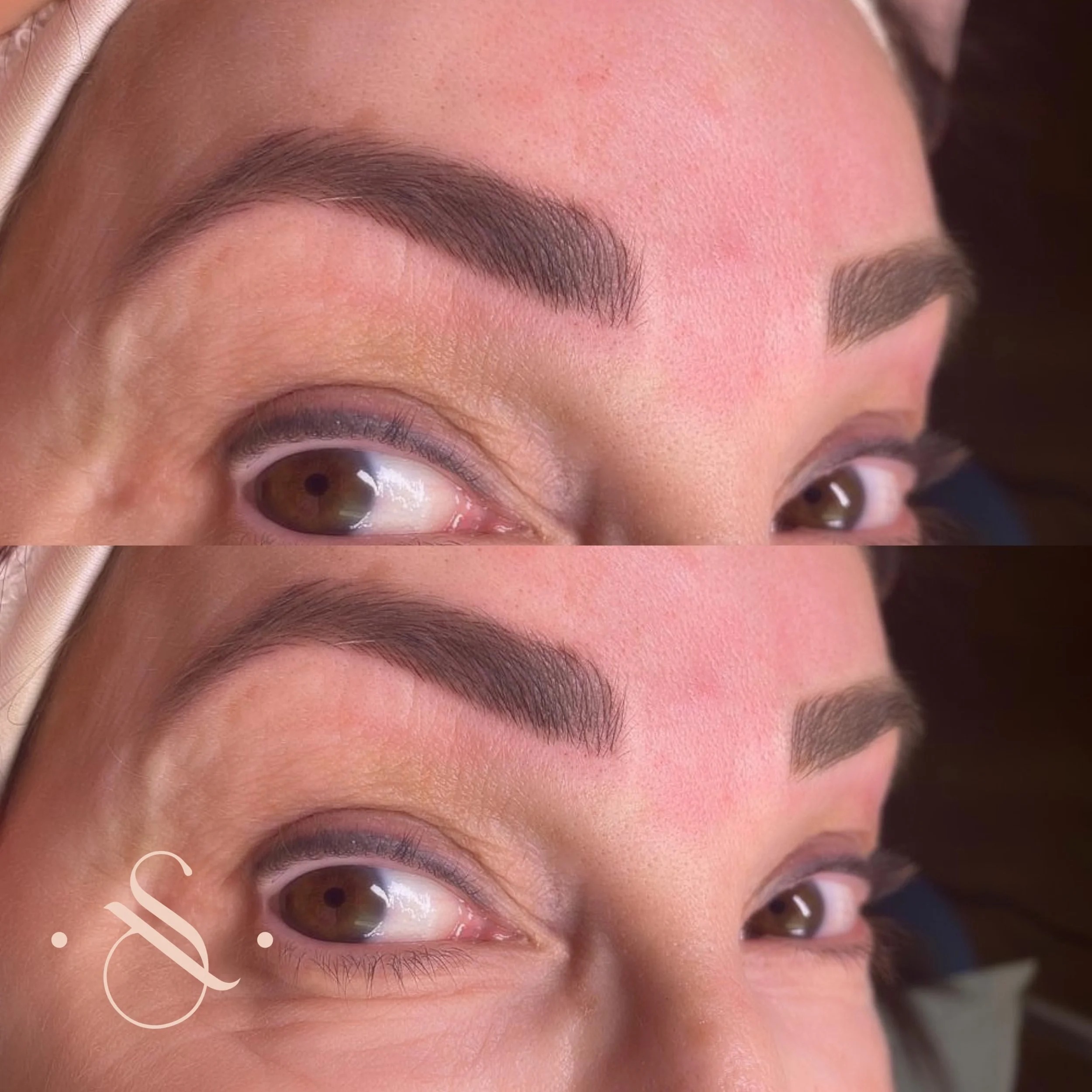 Lucia Santana Beauty brow work 13