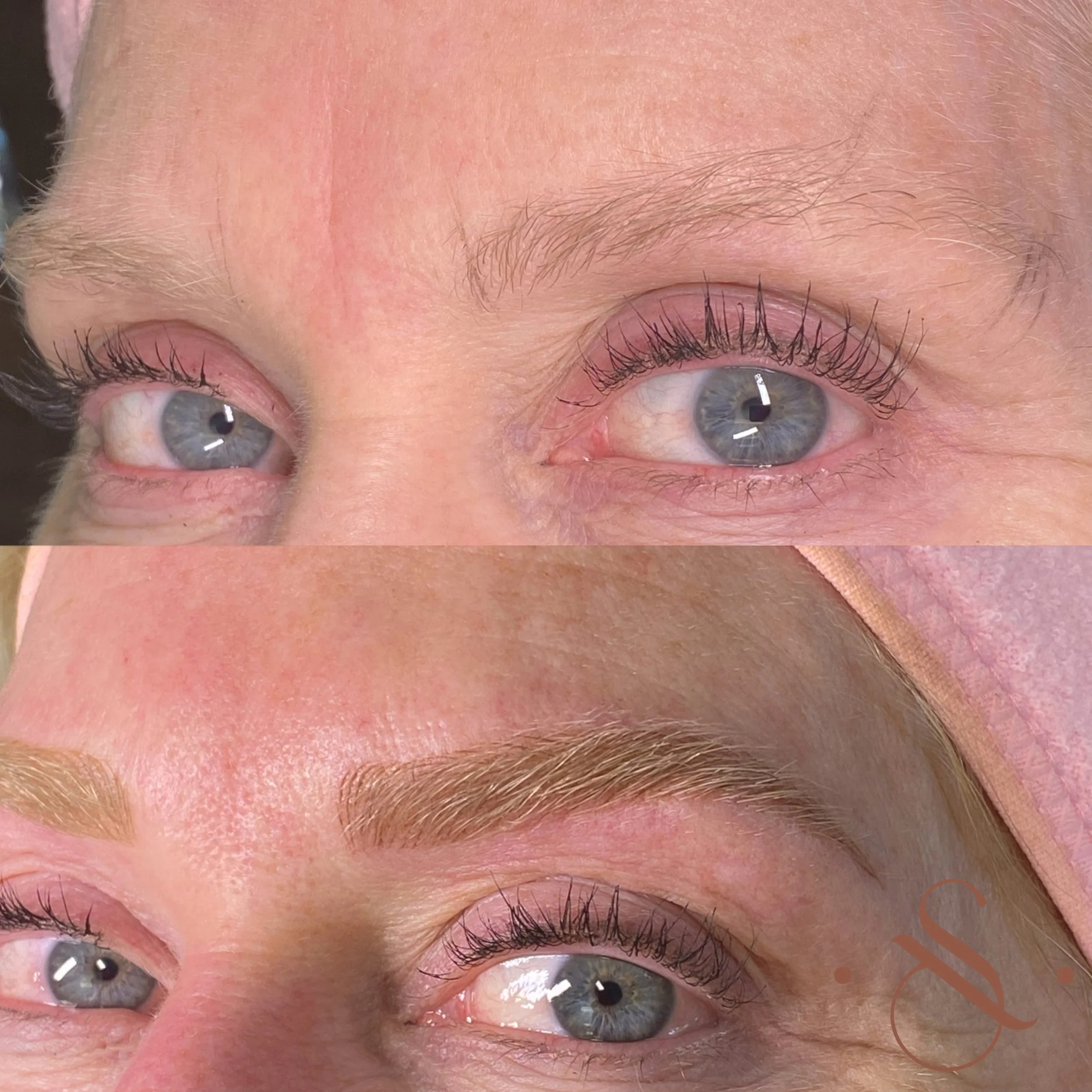 Lucia Santana Beauty brow work 19
