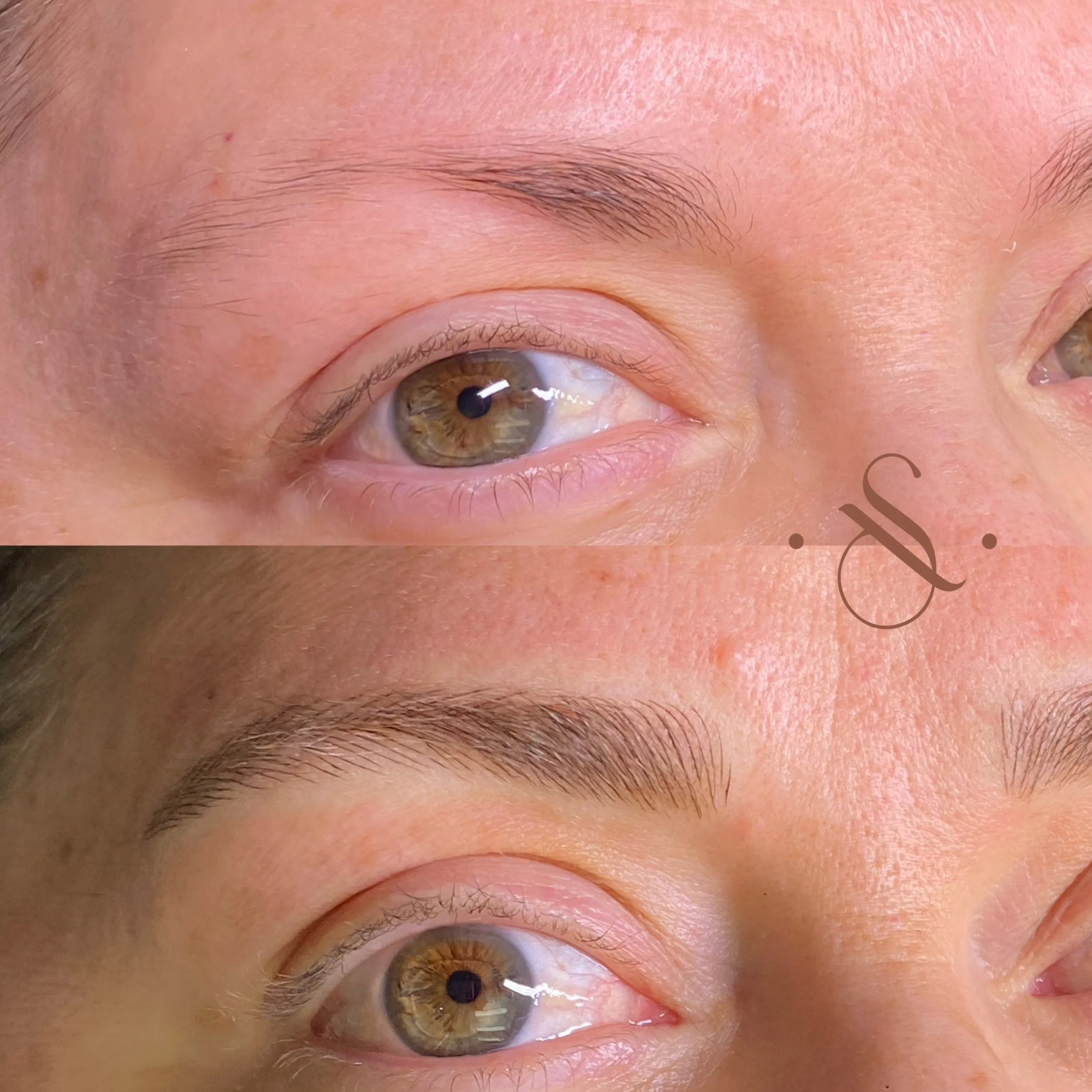 Lucia Santana Beauty brow work 22