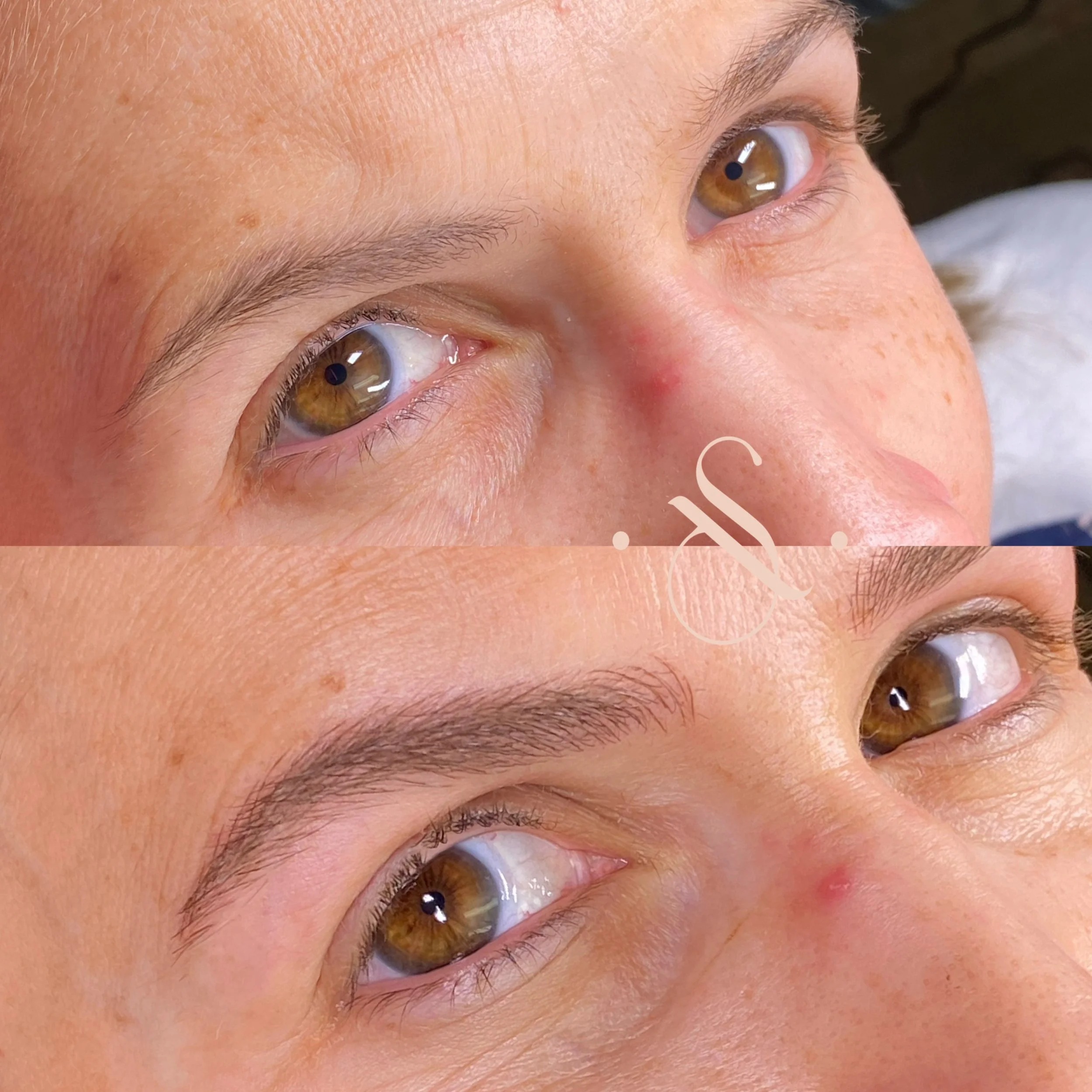 Lucia Santana Beauty brow work 27