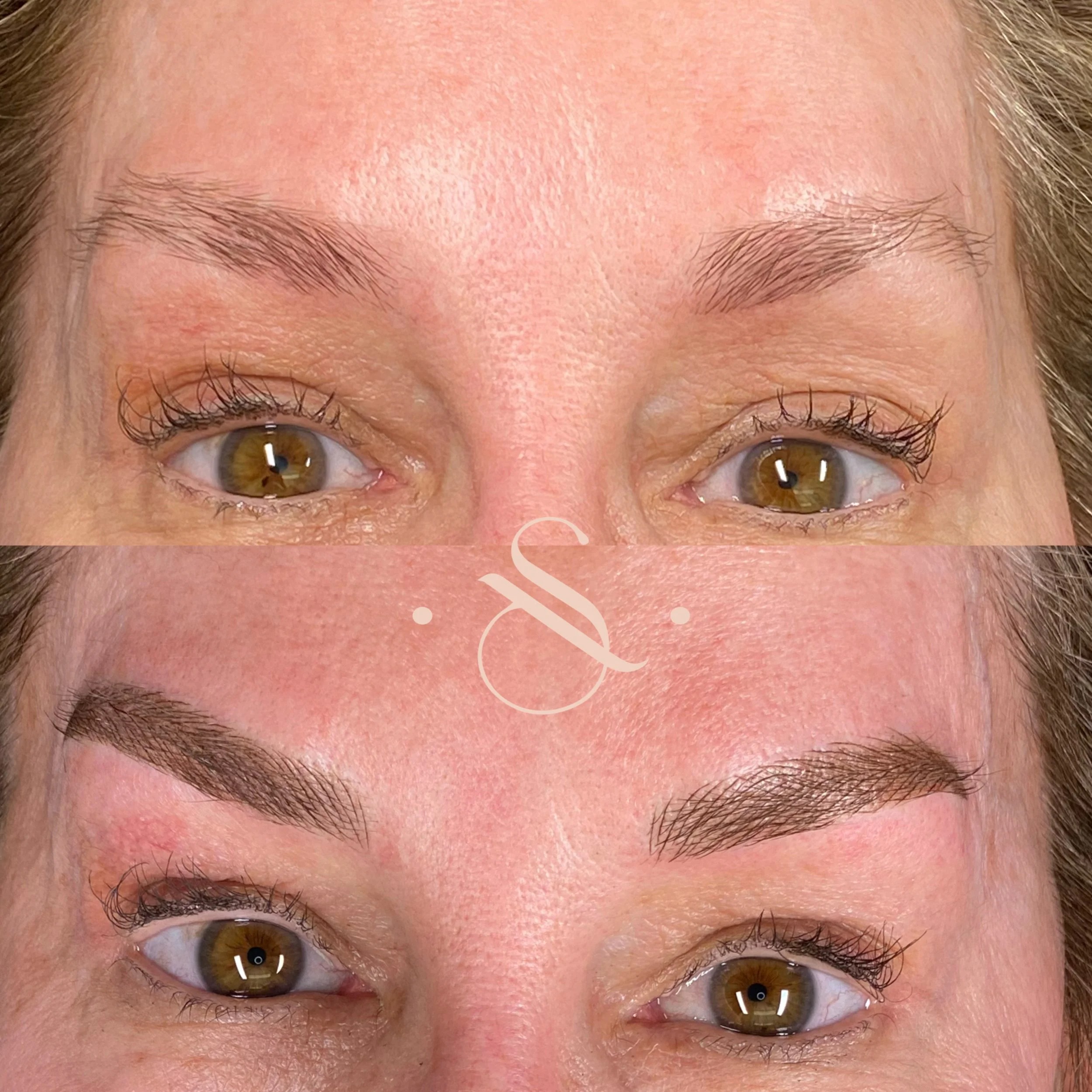 Lucia Santana Beauty brow work 29