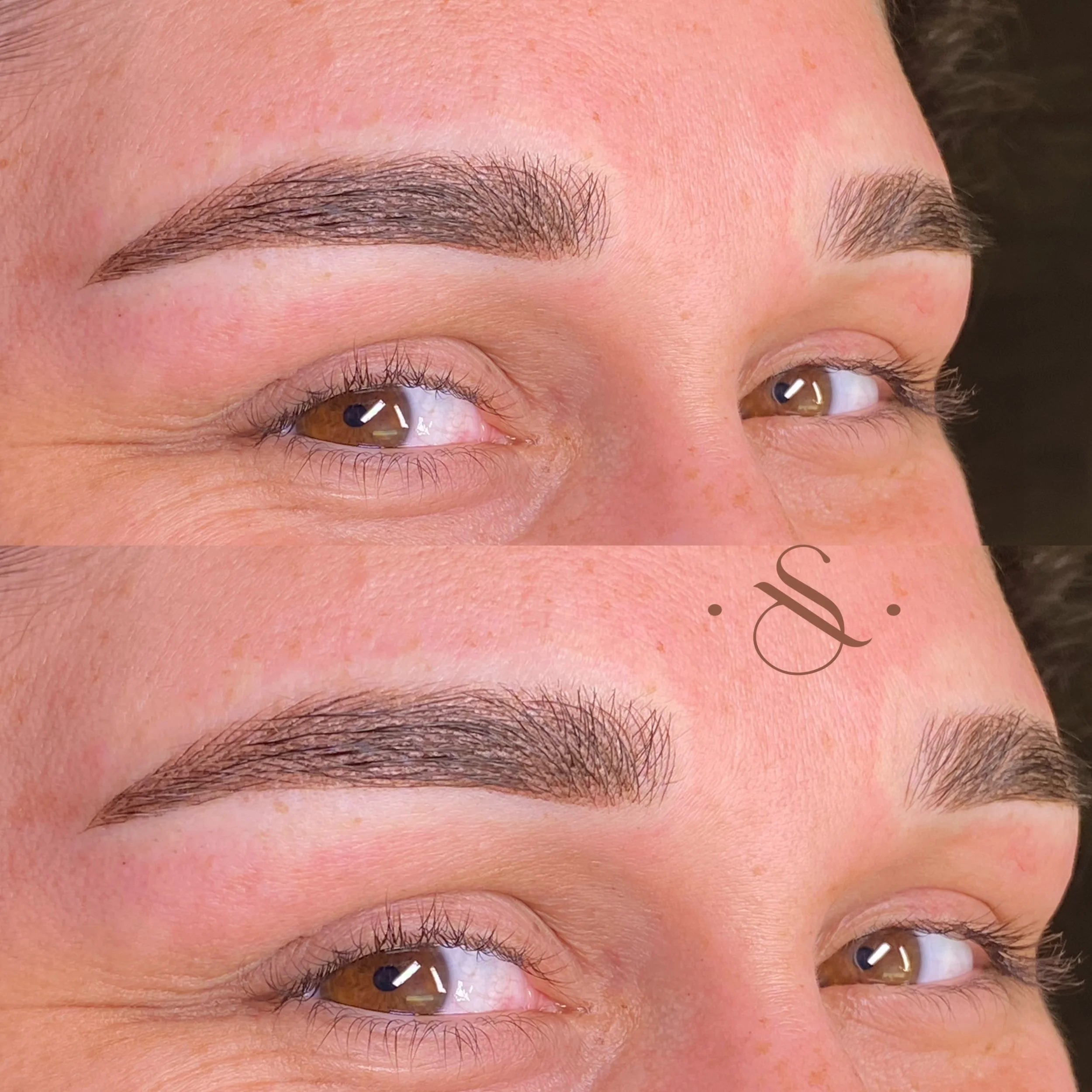 Lucia Santana Beauty brow work 44