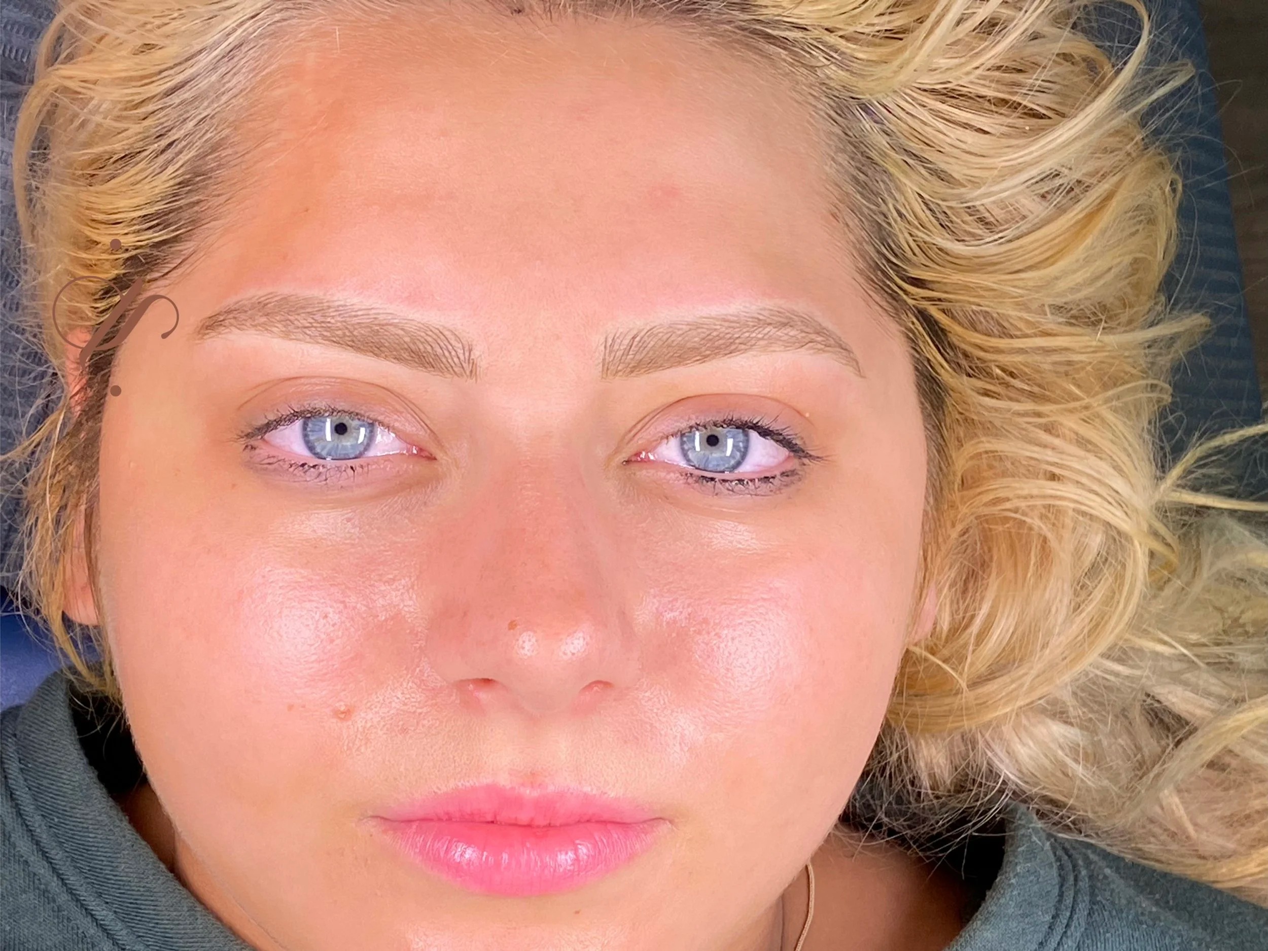 Lucia Santana Beauty brow work 45