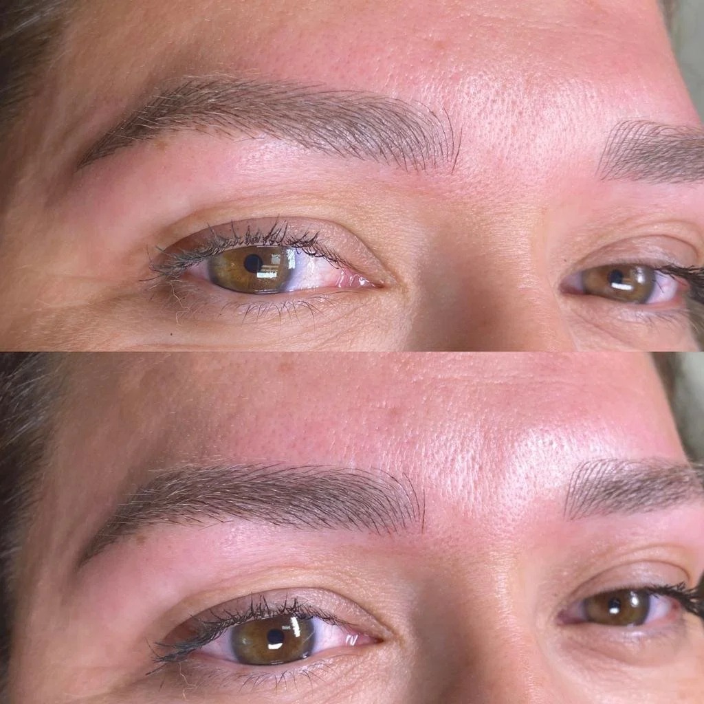 Lucia Santana Beauty brow work 49