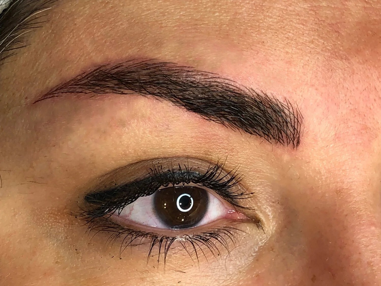 Lucia Santana Beauty brow work 52
