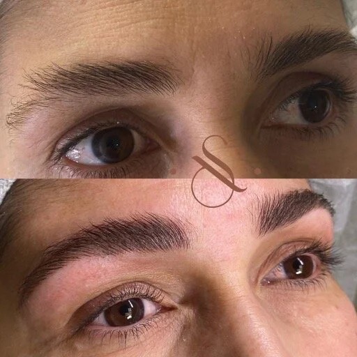 Lucia Santana Beauty brow work 68